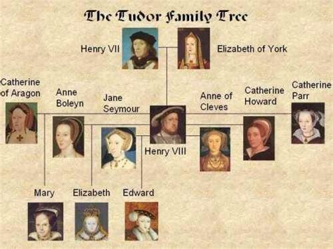 the tudor primo re|who ruled the tudor kingdom.